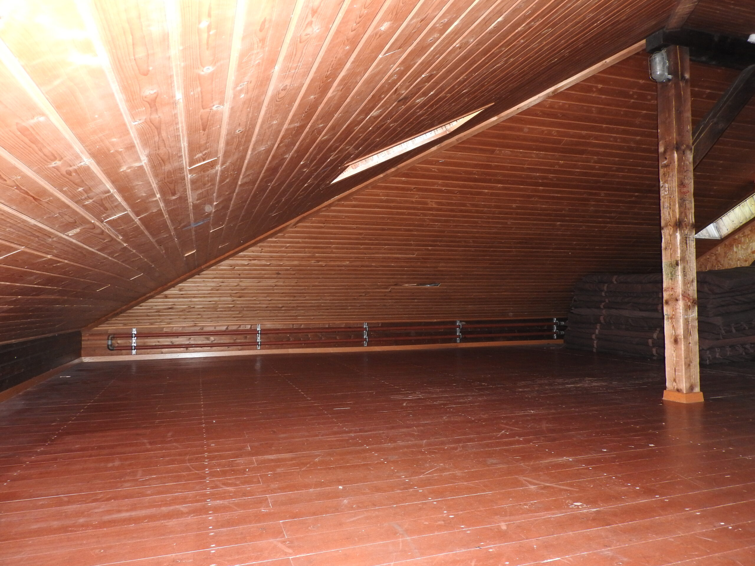DSCN5470